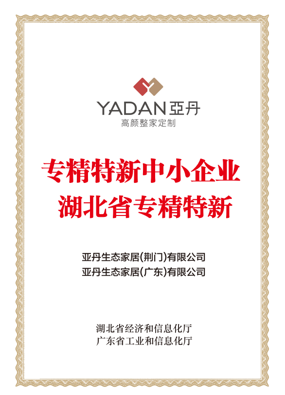 公司/专精特精证书